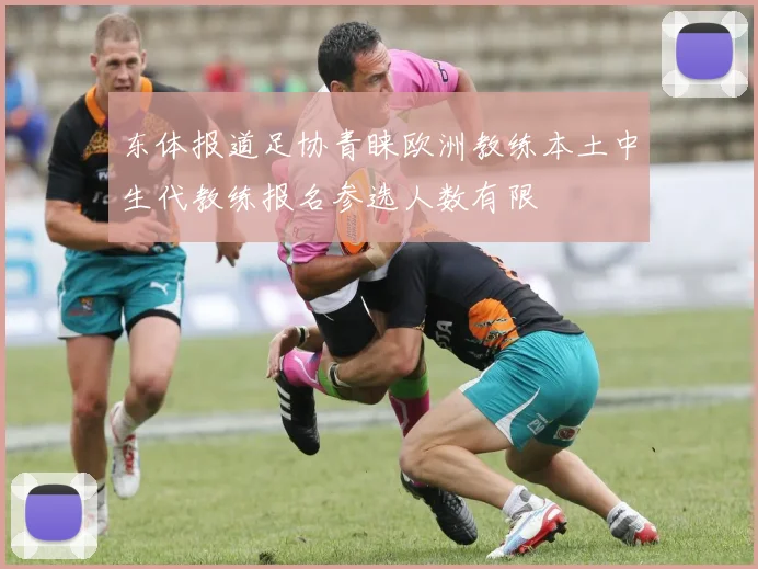 东体报道足协青睐欧洲教练本土中生代教练报名参选人数有限