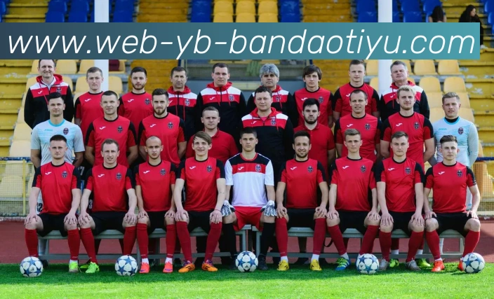 App Interface Preview