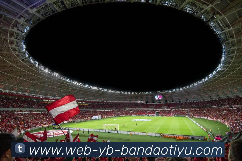 半岛体育APP 封面图